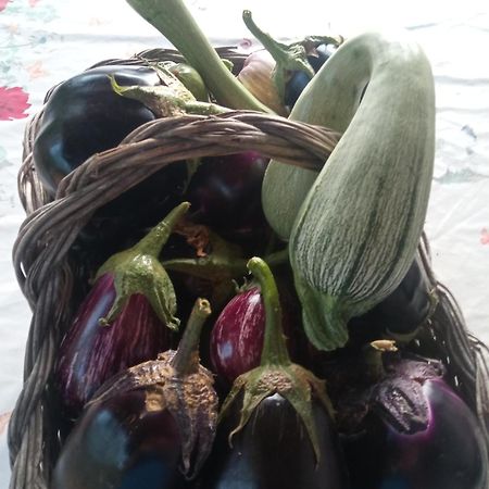 Agri Bertorella クーネオ エクステリア 写真