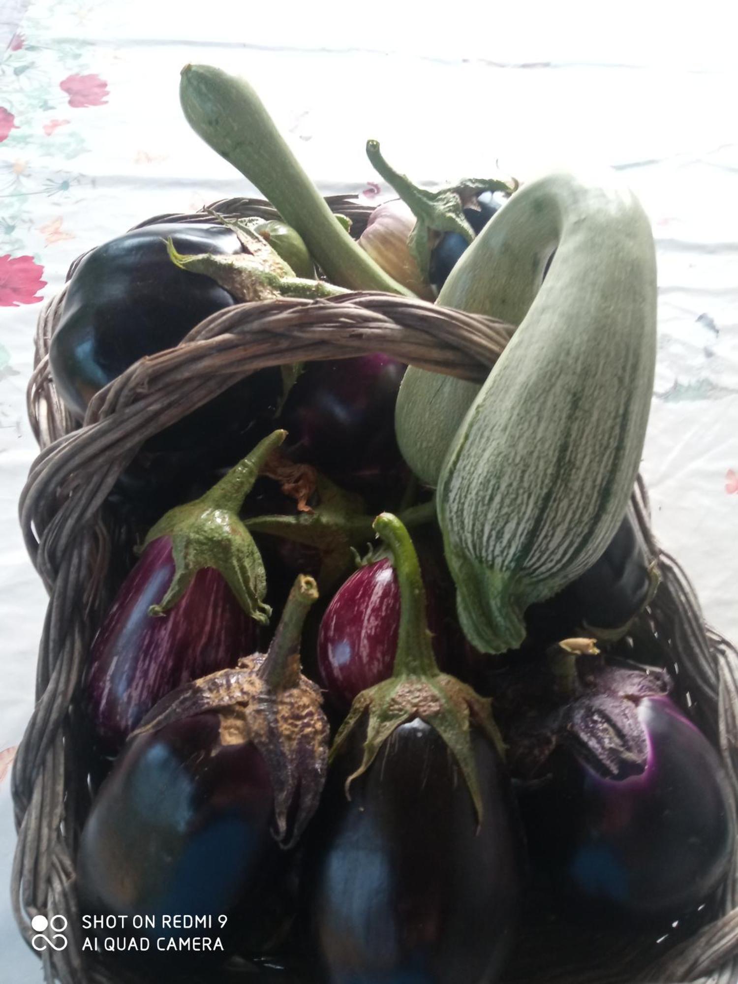 Agri Bertorella クーネオ エクステリア 写真